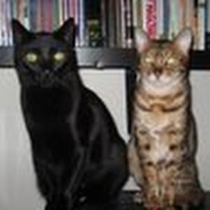 Meet your Posher, Adrienne m.